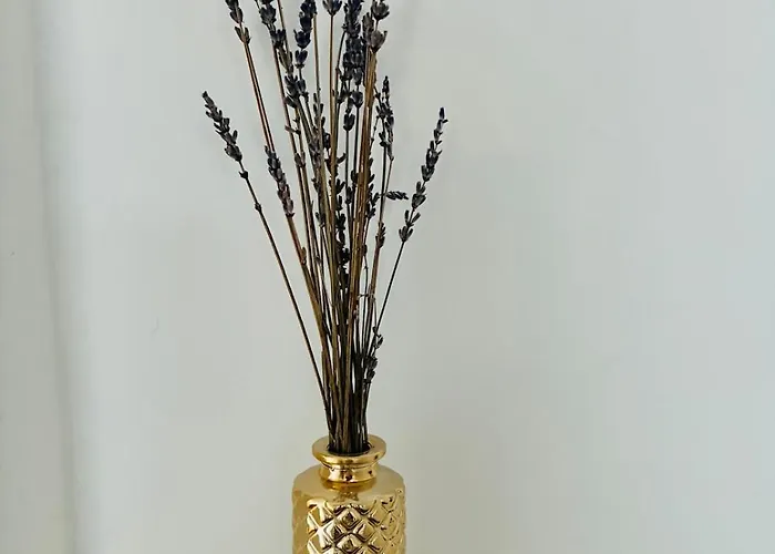 Loft-charme Trifft - Helles Modulhaus Am Nok Vakantiehuis *